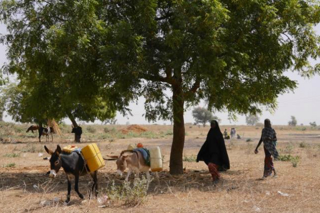 L'approche « Une seule santé » et la recherche de mise en œuvre (un cours à votre rythme) IR601Fr